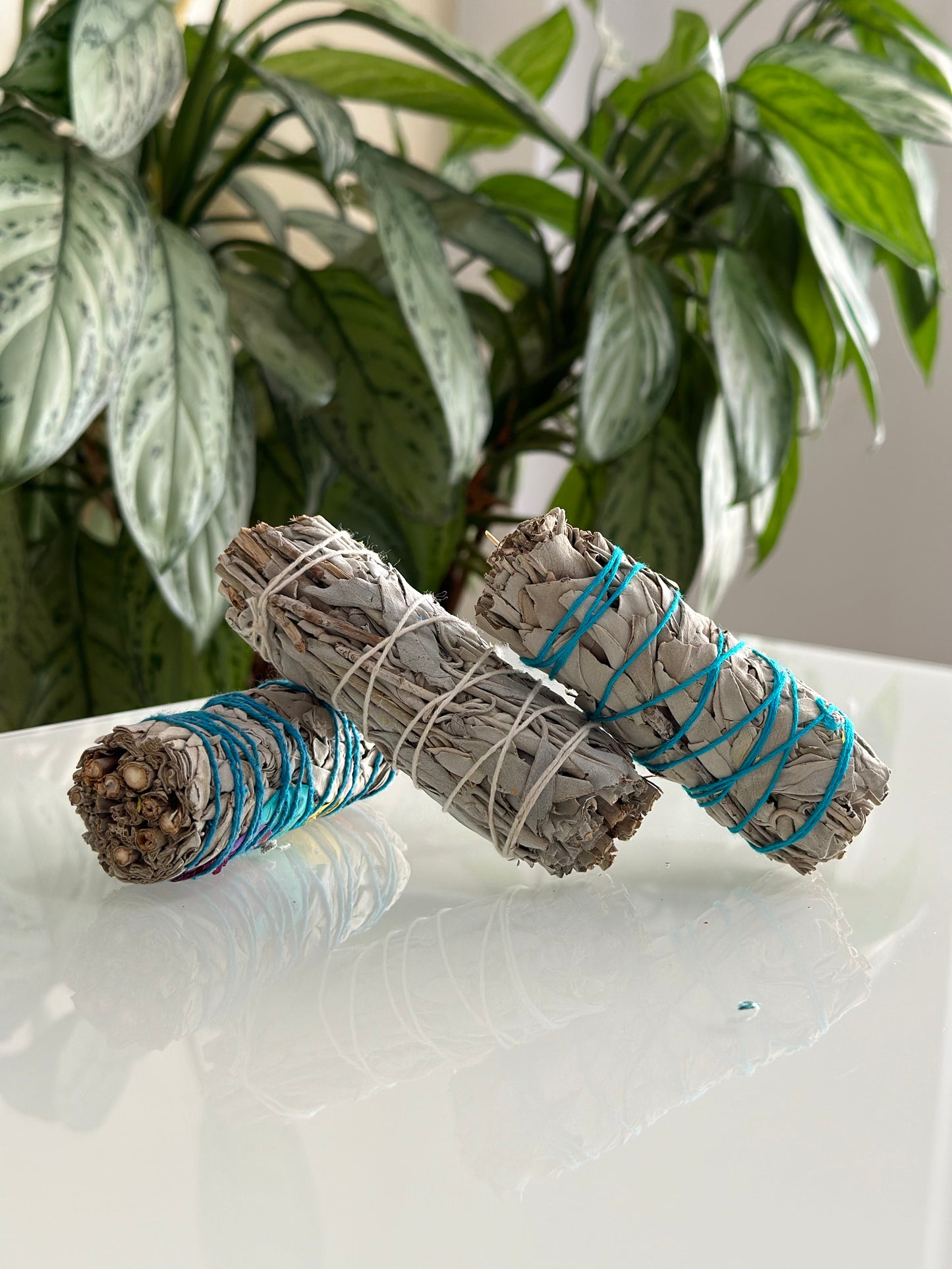 Decoración / Accesorios
